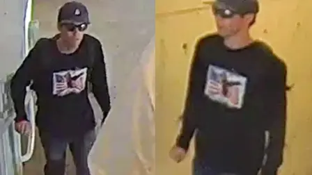 Las cámaras le muestran subiendo a la azotea desde la que abrió fuego antes de saltar desde el edificio y escabullirse por un barrio aledaño.

Para más información del tema, visita: https://www.eleconomista.com.mx/internacionales/fbi-divulga-imagenes-sospechoso-buscado-asesinato-charlie-kirk-20250911-776760.html

¡Síguenos en nuestras redes sociales para mantenerte informado!

Twitter: https://twitter.com/eleconomista 
Facebook: https://www.facebook.com/ElEconomista.mx
Instagram: https://www.instagram.com/eleconomistamx
LinkedIn: https://www.linkedin.com/company/el-economista/

#ElEconomista #EETV