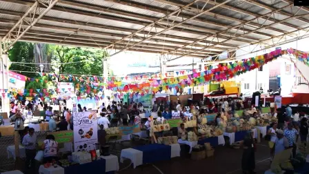 Feria Cultural rio Grande Francisco de Anda