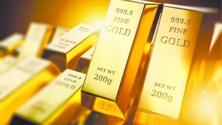 Descripción automática