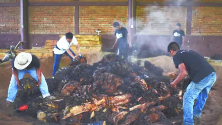 Descripción automática