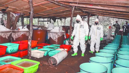 Descripción automática