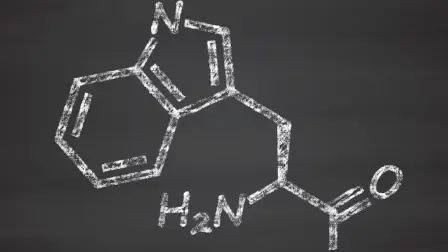 Representación de una molécula de triptófano.