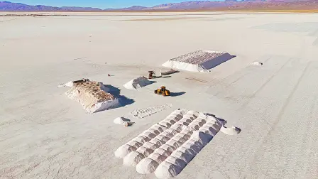 Descripción automática