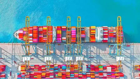 La OMC considera que los flujos globales de bienes y servicios podrían crecer 40% si se cierran las brechas digitales