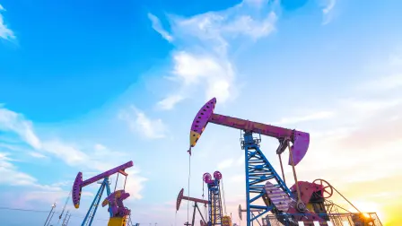 Descripción automática