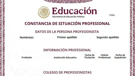 Ejemplo de una Constancia de Situación Profesional.