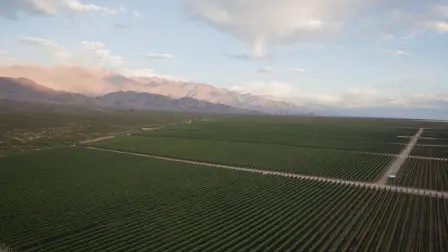 El mayor reto para la bodega es precisamente posicionar la marca en México en el lugar que su historia merece. Para Matías Ciciani, la mayor satisfacción es ser consciente de que forma parte de una historia viva, una que, a sus casi 150 años, se siente llena de energía y con un "futuro gigante". Con esta mezcla de respeto por el legado y una clara visión innovadora, Escorihuela Gascón no solo llega a México, sino que se prepara para echar nuevas y profundas raíces.