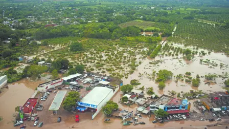 Descripción automática