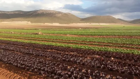 Diversas tecnologías han permitido producir, conservar y distribuir un flujo continuo de alimentos por casi todo el planeta.