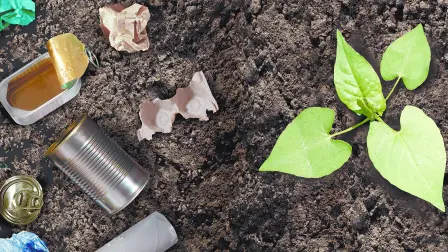 Descripción automática