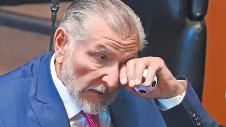 Descripción automática