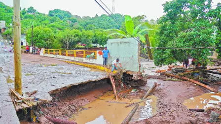 Descripción automática