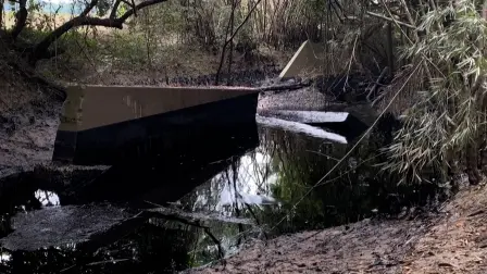 Los habitantes de El Cabellal, en Veracruz, dicen estar afectados por un derrame de petróleo en el río Pantepec, causado por la ruptura de un oleoducto en las cercanías producto de las intensas lluvias que se abatieron hace dos semanas sobre México. El gobierno mexicano aseguró el miércoles que el derrame está controlado.

¡Síguenos en nuestras redes sociales para mantenerte informado!

Twitter: https://twitter.com/eleconomista
Facebook: https://www.facebook.com/ElEconomista.mx
Instagram: https://www.instagram.com/eleconomistamx
LinkedIn: https://www.linkedin.com/company/el-economista/

#ElEconomista #EETV