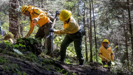 Miembros de lA Comisión de Recursos Naturales y Desarrollo Rural (CORENADR) participaron en las jornadas de búsqueda. Foto: AFP