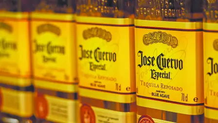 Descripción automática