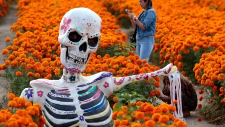 La comercialización durante el Día de Muertos, que contempla una periodicidad del 26 de octubre al 2 de noviembre, mantiene una tendencia al alza año con año, lo que demuestra el auge de la festividad y la importancia de la tradición mexicana en el mundo.

Para más información del tema, visita: https://www.eleconomista.com.mx/empresas/concanaco-espera-derrama-economica-49-500-mpd-dia-muertos-20251026-783552.html

¡Síguenos en nuestras redes sociales para mantenerte informado!

Twitter: https://twitter.com/eleconomista 
Facebook: https://www.facebook.com/ElEconomista.mx
Instagram: https://www.instagram.com/eleconomistamx
LinkedIn: https://www.linkedin.com/company/el-economista/
T

#ElEconomista #EETV