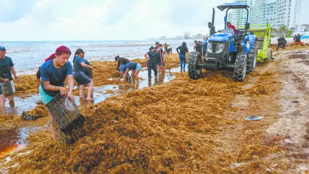 Descripción automática