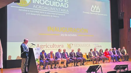 Descripción automática