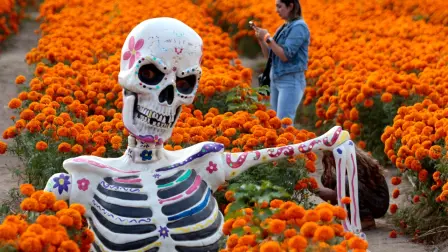 Mientras los estudiantes de educación básica disfrutarán de un puente, en el contexto del Día de Muertos los trabajadores podrían no tener la misma suerte, y es que la LFT es clara en cuanto a los días que sí son de descanso obligatorio.

Para más información del tema, visita: https://www.eleconomista.com.mx/capital-humano/son-1-2-noviembre-dias-descanso-trabajadores-20251031-784374.html
Twitter: https://twitter.com/eleconomista   
Sitio web: https://www.eleconomista.com.mx/   
Facebook: https://www.facebook.com/ElEconomista.mx   
 
#ElEconomista￼