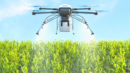 Descripción automática