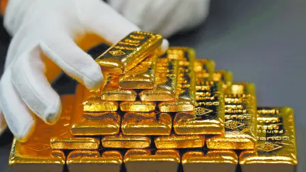 Descripción automática