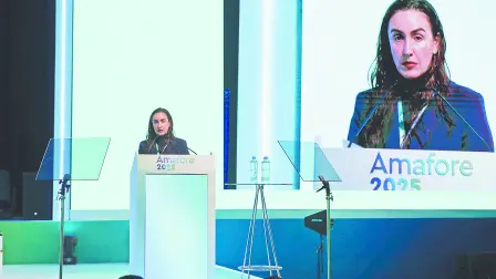 Descripción automática