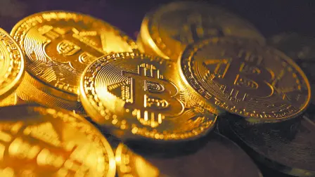 Descripción automática