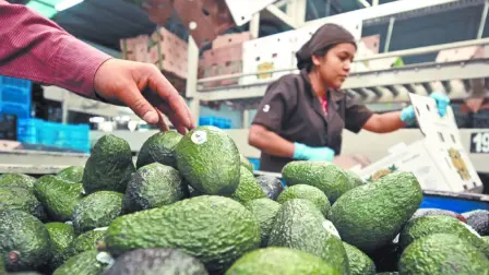 Estados Unidos había impuesto aranceles de al menos el 10% a la mayoría de las importaciones desde abril, con tasas más altas en agosto.

Para más información del tema, visita: https://www.eleconomista.com.mx/empresas/trump-quita-aranceles-aguacate-otros-productos-agropecuarios-20251114-786711.html 

¡Síguenos en nuestras redes sociales para mantenerte informado!

Twitter: https://twitter.com/eleconomista 
Facebook: https://www.facebook.com/ElEconomista.mx
Instagram: https://www.instagram.com/eleconomistamx
LinkedIn: https://www.linkedin.com/company/el-economista/

#ElEconomista #Aranceles #Trump