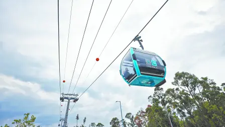 Descripción automática