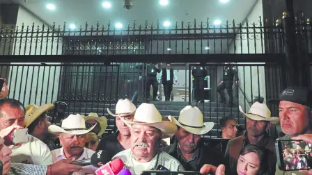 Descripción automática