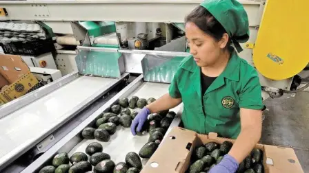 Las cifras del tercer trimestre confirman la creación de empleo más baja para un periodo enero-septiembre desde el 2014. 

Para más información del tema, visita: https://www.eleconomista.com.mx/capital-humano/creacion-empleo-primeros-tres-trimestres-ano-baja-decada-20251126-788364.html

¡Síguenos en nuestras redes sociales para mantenerte informado!

Twitter: https://twitter.com/eleconomista 
Facebook: https://www.facebook.com/ElEconomista.mx
Instagram: https://www.instagram.com/eleconomistamx
LinkedIn: https://www.linkedin.com/company/el-economista/

#ElEconomista #Desempleo