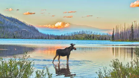 ¿Sabías qué...? Big Sky, Montana registró un aumento del 92% en búsquedas de viajes en la plataforma Expedia Group y aparece como “Destino del Año 2026”. Montana limita con Canadá al norte, Dakota del Norte y Dakota del Sur al este, Wyoming al sur e Idaho al oeste.