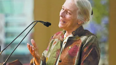 Descripción automática