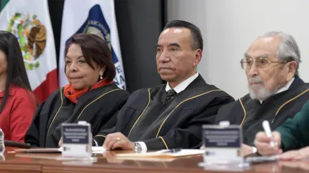 La Comisión de Disciplina Judicial es presidida por el Magistrado Rufino H León Tovar e integrada por la Magistrada Presidenta Celia Maya García y el Magistrado Bernardo Bátiz Vázquez.