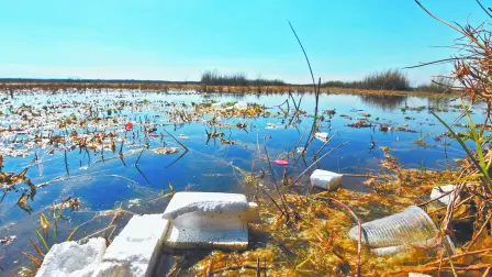 Descripción automática