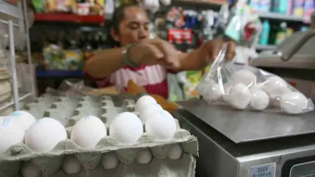 La población que gana hasta un salario mínimo viene registrando menores tasas inflacionarias, lo cual se explica por factores como la renovación del Pacic y el cambio de hábito obligado en el consumo, dicen especialistas.

Para más información del tema, visita: https://www.eleconomista.com.mx/finanzaspersonales/menores-ingresos-menor-inflacion-buena-noticia-reflejo-precarizacion-consumo-20251204-789311.html

¡Síguenos en nuestras redes sociales para mantenerte informado!

Twitter: https://twitter.com/eleconomista
Facebook: https://www.facebook.com/ElEconomista.mx
Instagram: https://www.instagram.com/eleconomistamx
LinkedIn: https://www.linkedin.com/company/el-economista/

#ElEconomista #EETV