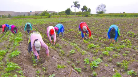 Tamaulipas, Nuevo León, Chihuahua y Coahuila son los que sufrirían, principalmente, las consecuencias.