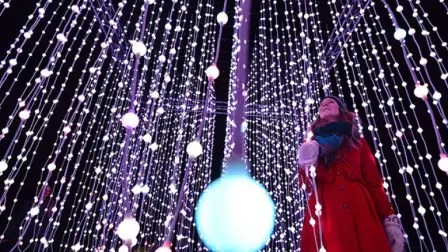 La contaminación lumínica de esta temporada también genera mayor CO2 y altera nuestro ciclo del sueño y el de algunos animales, además de que nos desorienta. Eso sin contar que contribuye a atraer insectos y generar plagas, dice la UNAM.

Para más información del tema, visita: https://www.eleconomista.com.mx/finanzaspersonales/luces-navidad-encarecen-30-recibo-consejos-bolsillo-haga-corto-circuito-20251212-790471.html

¡Síguenos en nuestras redes sociales para mantenerte informado!

Twitter: https://twitter.com/eleconomista 
Facebook: https://www.facebook.com/ElEconomista.mx
Instagram: https://www.instagram.com/eleconomistamx
LinkedIn: https://www.linkedin.com/company/el-economista/
T

#ElEconomista #EETV