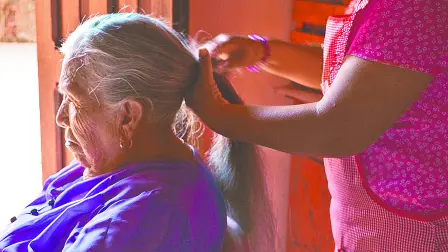 Descripción automática