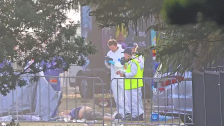 Descripción automática