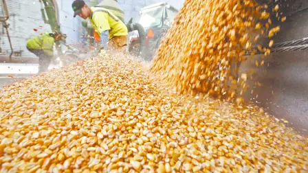 Descripción automática