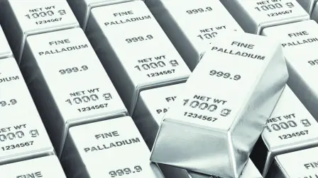 Descripción automática