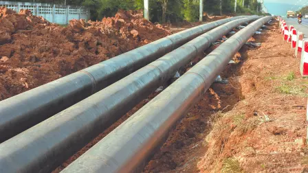 Descripción automática