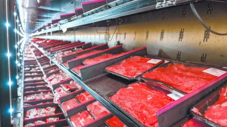 Descripción automática