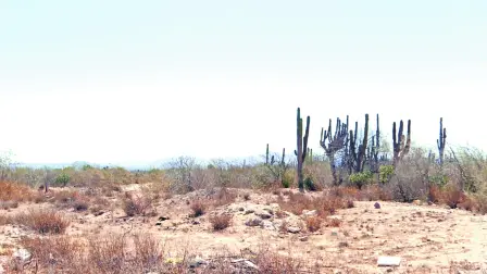 Descripción automática