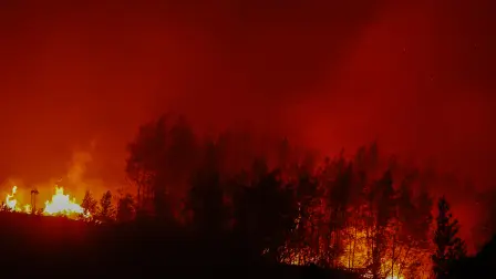 Flames and burning vegetation are seen during a wildfire in the town of Florida near the city of Concepción, Chile, on January 20, 2026. Residents of southern Chile, ravaged by four days of deadly wildfires, pleaded for help on January 20 from communities reduced to rubble, as smoke lingered and firefighters braced for the return of hot weather. (Photo by Raul BRAVO / AFP)