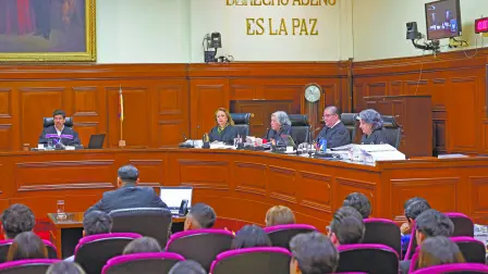 Descripción automática