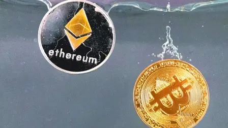 Descripción automática