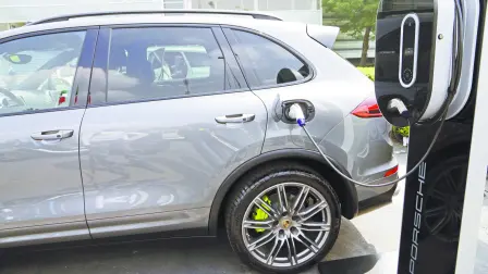 Descripción automática