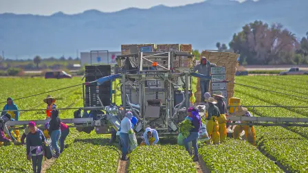 Descripción automática